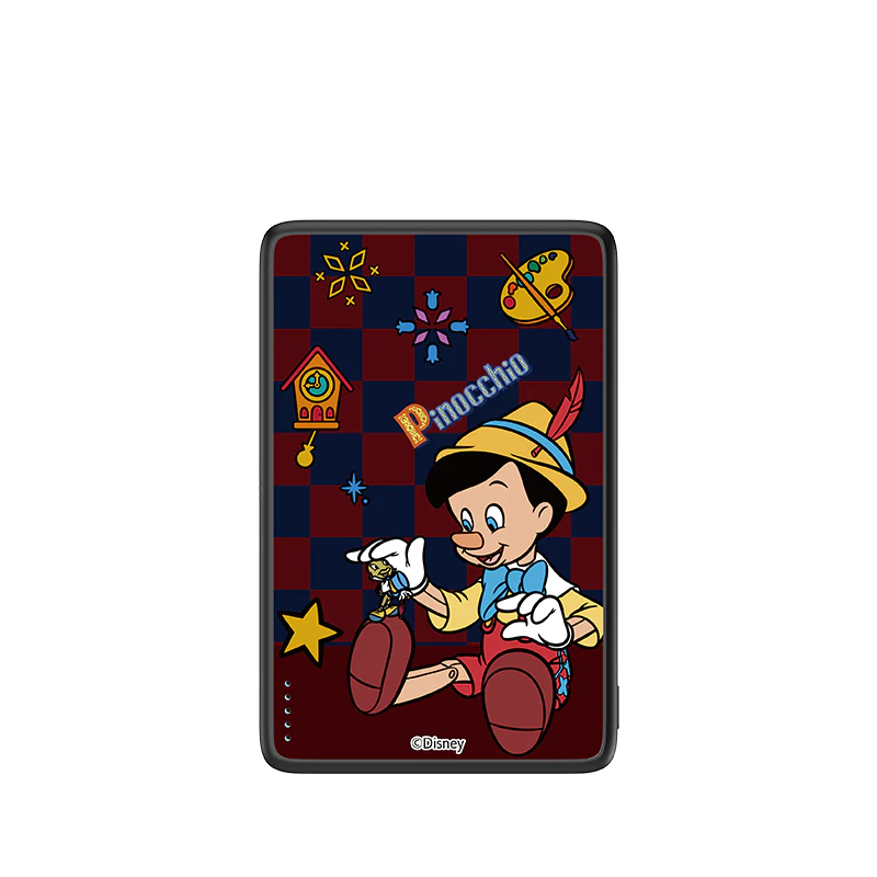 My companion Magnetic Power Bank